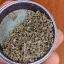 Blimburn Seeds Cannabiszaden Blue Dream Gefeminiseerd