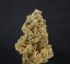 T.H.Seeds™ Seminte de canabis Citron Givré, pachet special 6+1, feminizate