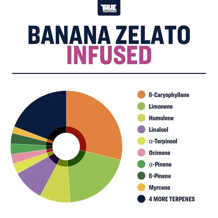 True Terpenes Ζελάτο μπανάνας με έγχυση γεύσης (5 ml - 960 ml)