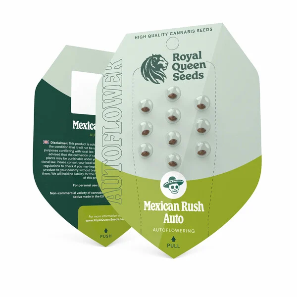 Royal Queen Seeds Sjemenke konoplje Mexican Rush Auto