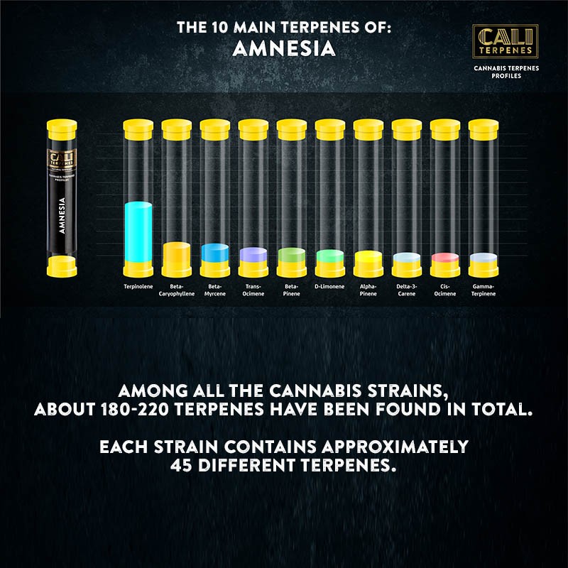 Cali Terpenes - Amnezie, 1 - 1000 ml
