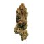 Royal Queen Seeds Seminte de canabis White Widow feminizate