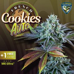 T.H.Seeds™ Cannabis Seeds Auto French Cookies, 6+1 balenie, feminizované