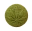 Euphoria Biscuits au cannabis originaux, 120 g