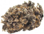 CanaPuff Fleur de chanvre CBD Royal Skunk, CBD 24 %, 1 g - 10 g