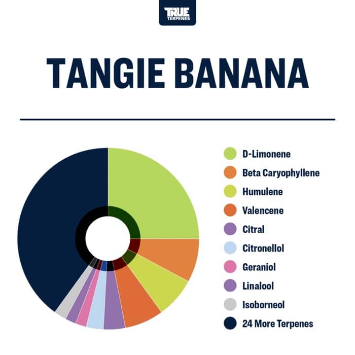True Terpenes Tangie Banana (5 ml - 960 ml)