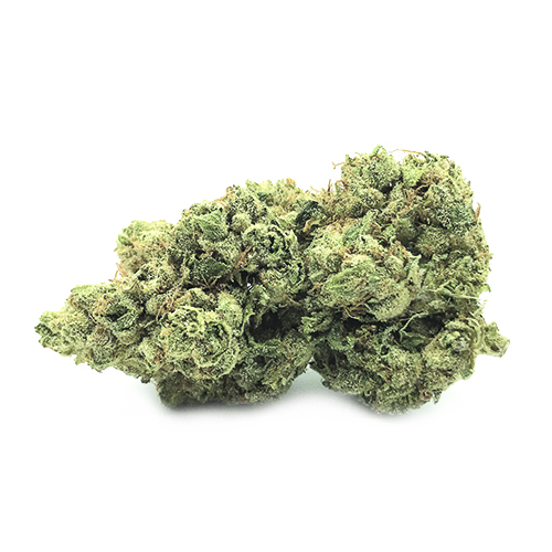 Canalogy CBD hampa blomma Brand Kush 13 %, 1g - 1000g