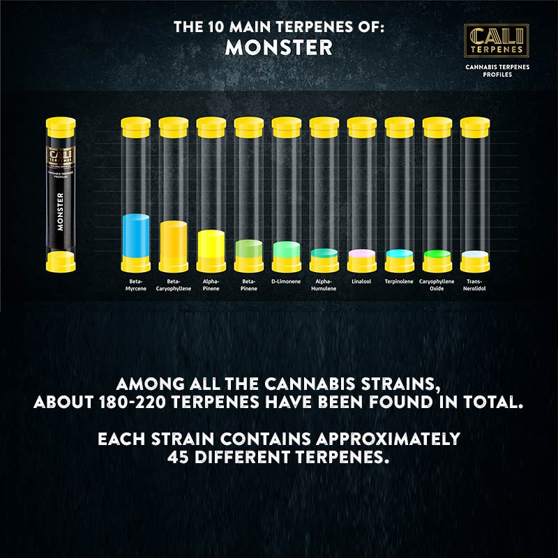 Cali Terpenes - MONSTER, 1 - 1000 ml