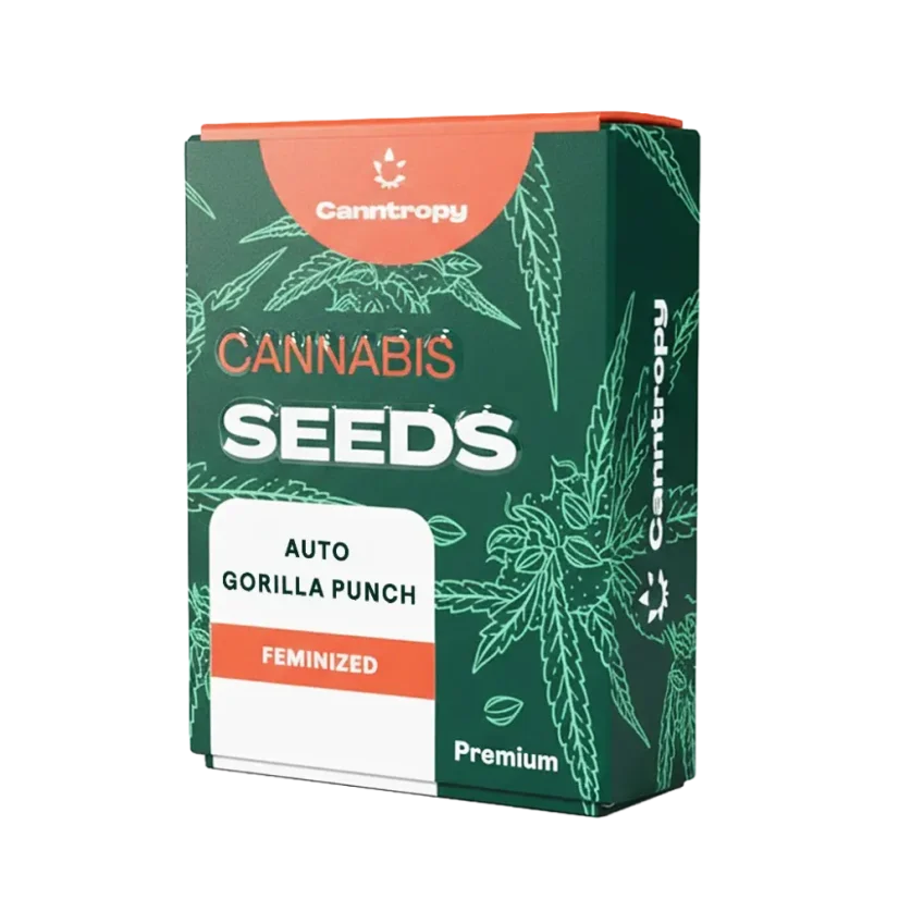 Canntropy Samen Auto Gorilla Punch (Autoflowering)