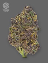 The Bulldog Seeds TB Purple CBD Auto, 3 a 5 ks