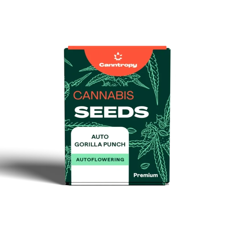 Canntropy Semillas Auto Gorilla Punch (Autofloreciente)