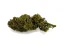 Czech CBD THCD-Blüten Cherry Pie, THCD, 1 - 1000 g