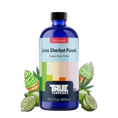 True Terpenes Smakinfunderad lime Sherbet Punch (5 ml - 960 ml)