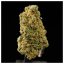 Eighty8 Fleur de Chanvre CBD Bubblegum - 1 à 25 grammes