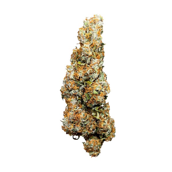 Royal Queen Seeds Seminte de canabis Tort de nunta Auto