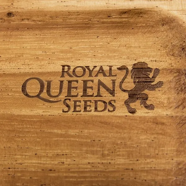 Royal Queen Seeds Ξύλινος δίσκος κύλισης, 30x15 cm