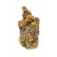 Royal Queen Seeds Seminte de canabis Triple G feminizate
