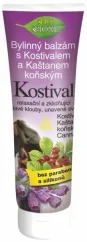 Bione Pomada de Ervas Consolda com Castanha da Índia 300 ml