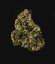 Royal Queen Seeds Seminte de canabis Royal Dwarf Auto