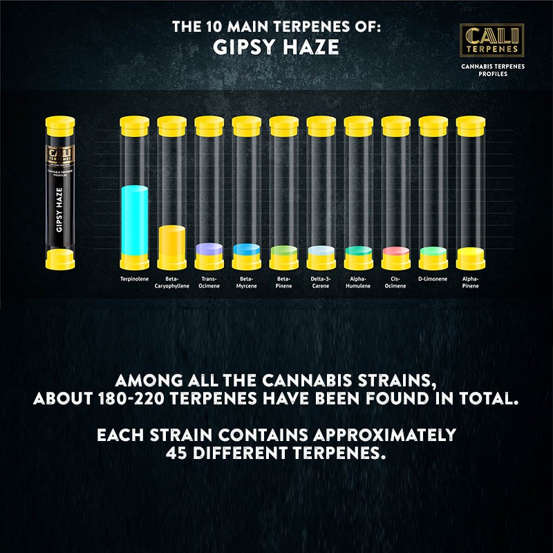 Cali Terpenes - Gipsy Haze, 1 - 1000 ml
