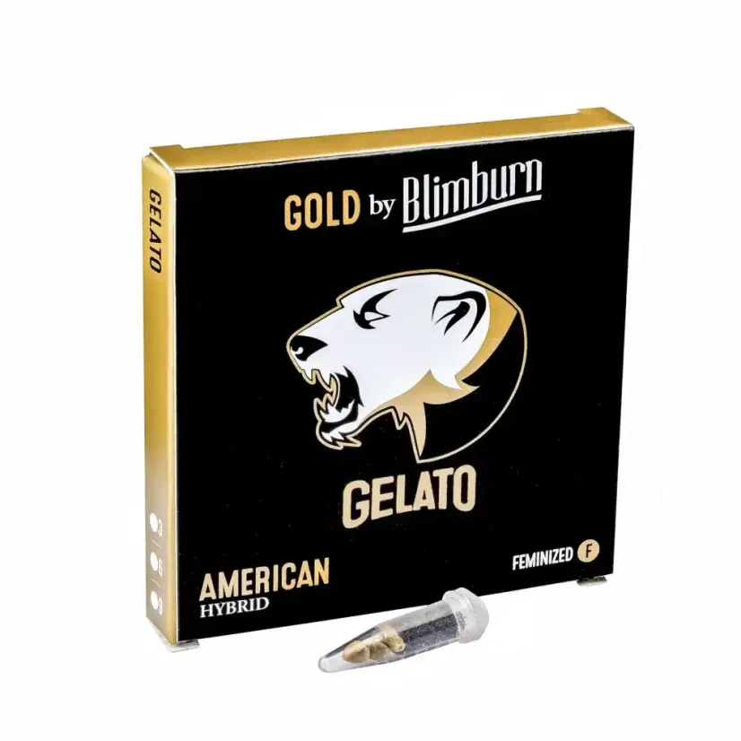 Blimburn Seeds Cannabisfrön Gelato Feminiserade