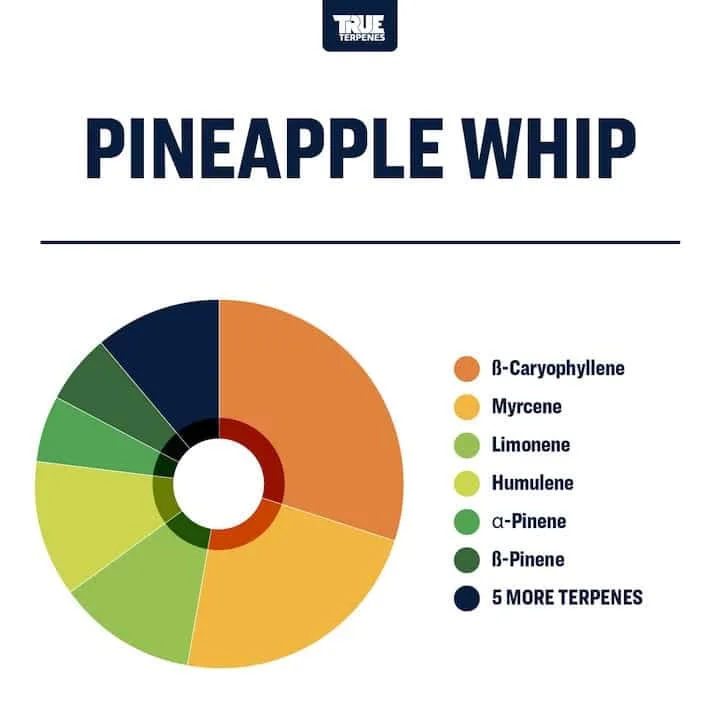 True Terpenes Pineapple Whip (5 ml - 960 ml)