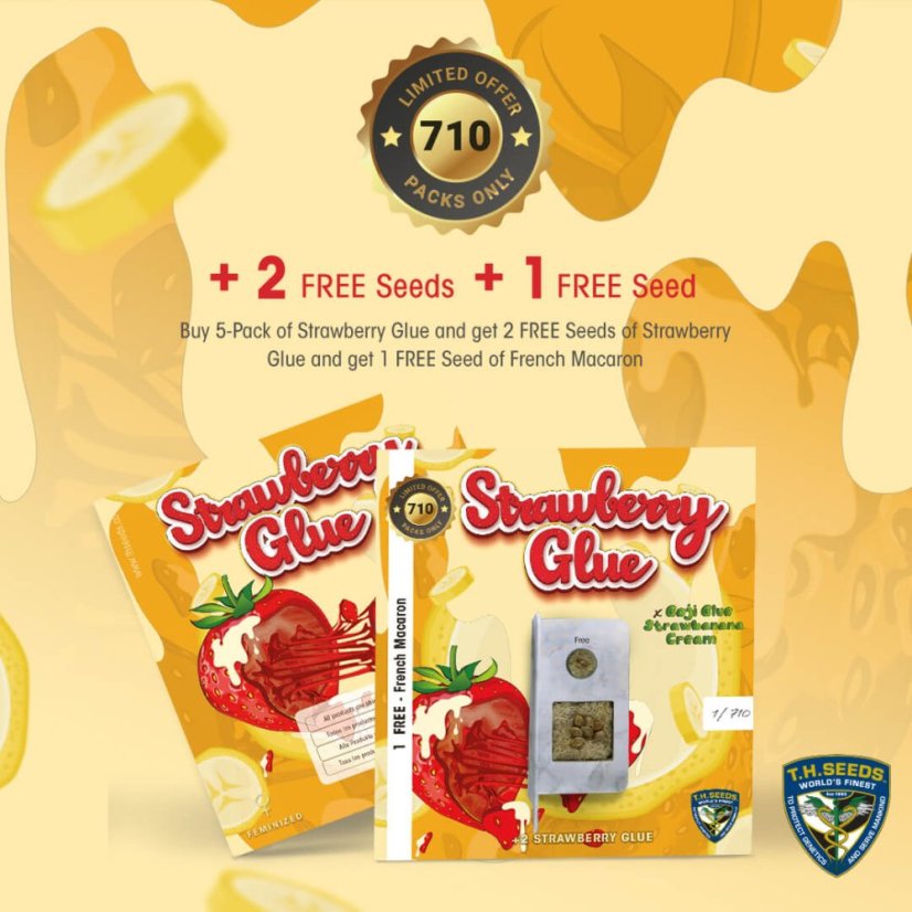 T.H.Seeds™ Seminte de canabis Strawberry Glue, 710 Limited Special Pack, feminizate