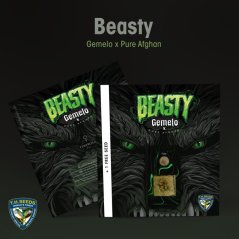 T.H.Seeds™ Seminte de canabis Beasty, pachet special 6+1, feminizate