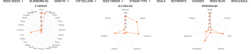 Blimburn Seeds Cannabis Seeds Lemon OG Nikki Swami feminized