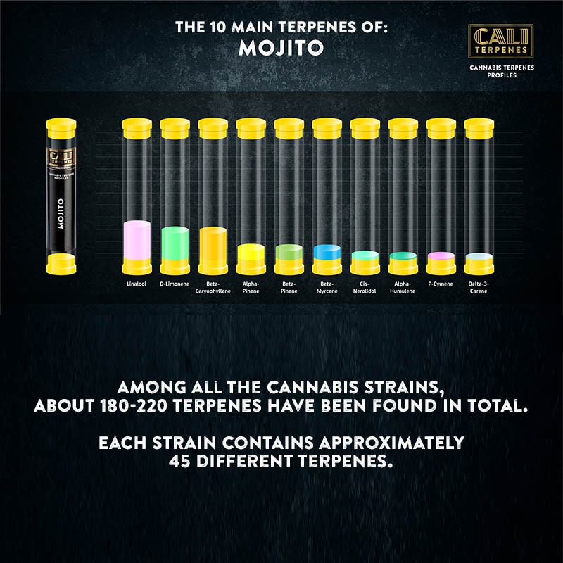 Cali Terpenes - MOJITO, 1 - 1000 ml