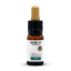 Nature Cure CBG-Öl 10% CBG, 1000 mg, (10 ml)