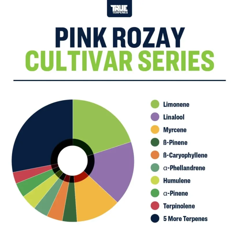 True Terpenes Cultivar Series Pink Rozay (5 ml - 960 ml)
