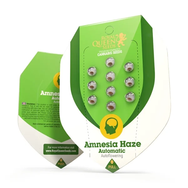 Royal Queen Seeds Semillas de cannabis Amnesia Haze Auto
