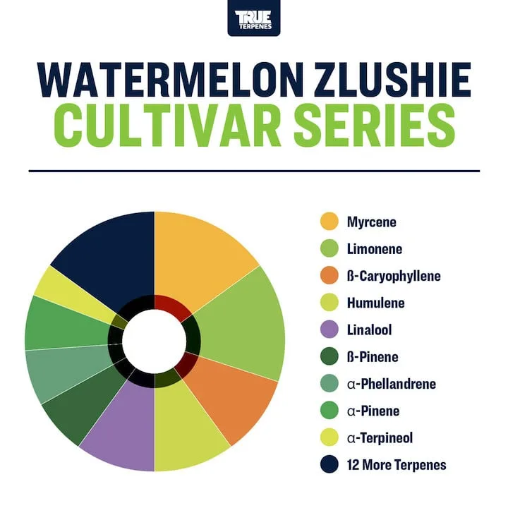 True Terpenes Cultivar Series Watermelon Zlushie (5 ml - 960 ml)