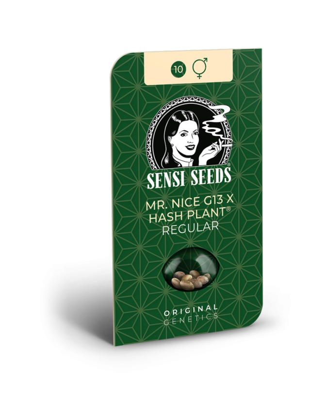 Sensi Seeds Semințe de canabis Mr Nice G13 X Hash Plant® Regular, 10 buc.