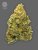 The Bulldog Seeds TB Lemon Haze Auto, isi 3 dan 5 pcs