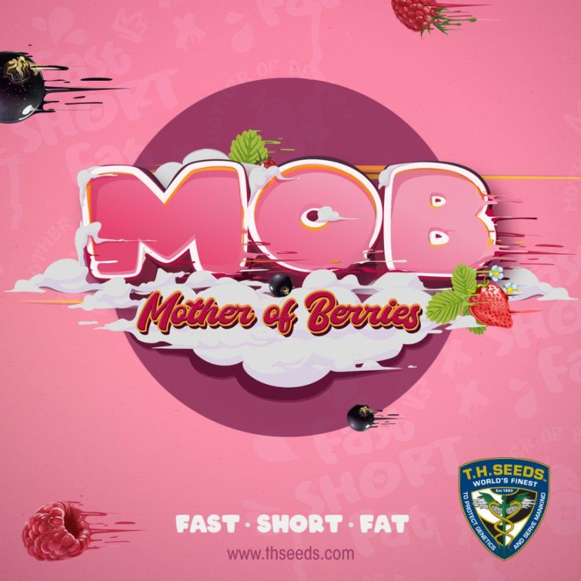 T.H.Seeds™ Cannabis Seeds MOB™, 6+1 specialpakke, feminiseret