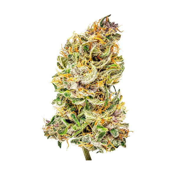 Royal Queen Seeds Semințe de canabis Bubble Kush Auto