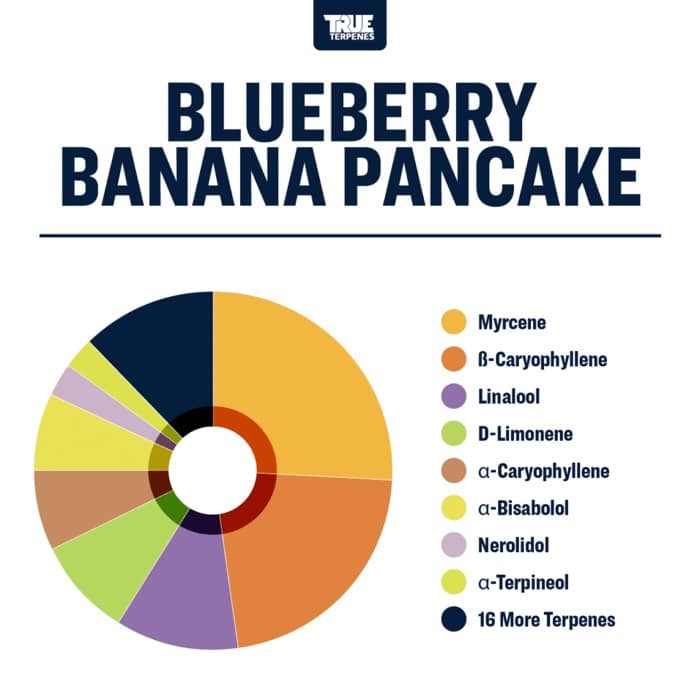 True Terpenes Blåbärsbananpannkaka (5 ml - 960 ml)