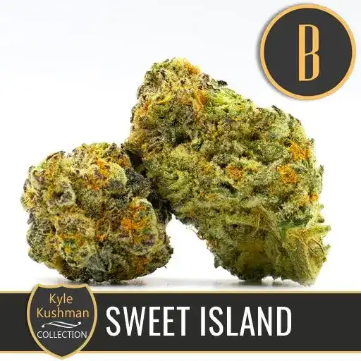 Blimburn Seeds Cannabis Seeds Sweet Island av Kyle Kushman's Feminized