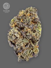 The Bulldog Seeds TB Gelato Auto, 3 a 5 ks