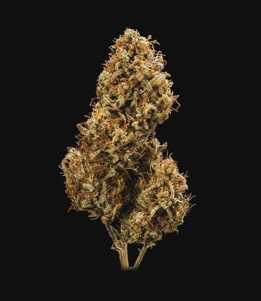 Royal Queen Seeds Graines de cannabis Blue Cheese Auto