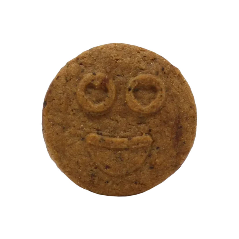 Euphoria cereální čokoládové sušenky, 100