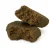 HCT Hash Marokko, 1 g
