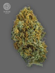The Bulldog Seeds TB Skittlez Auto, 3 a 5 ks