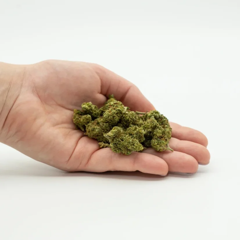 Herbican CBD Hemp Flower Super Lemon Haze, 5 g - 100 g