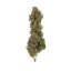 Royal Queen Seeds Cannabis Seeds Royal Medic Feminized (korkea CBD)