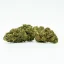 Northern Light üvegházi virág 11 % CBD, 1 g - 100 g
