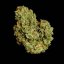 Royal Queen Seeds Семена от канабис Orion F1 Auto