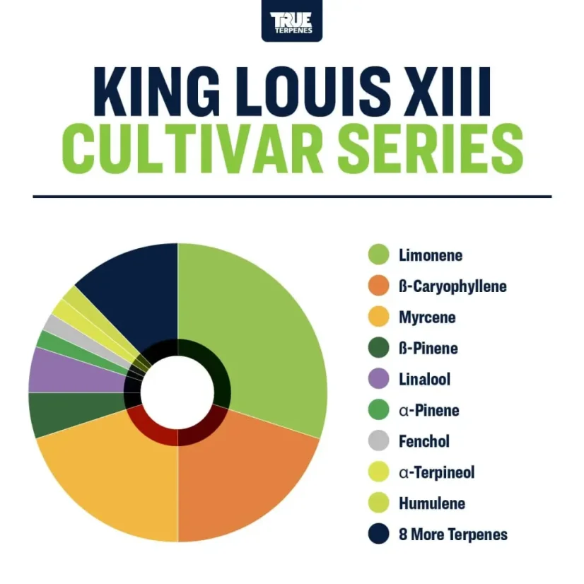 True Terpenes Seria Cultivar King Louis XIII (5 ml - 960 ml)